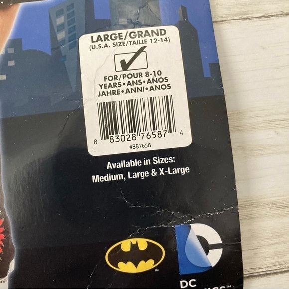 Batgirl Costume - Picture 6 of 6